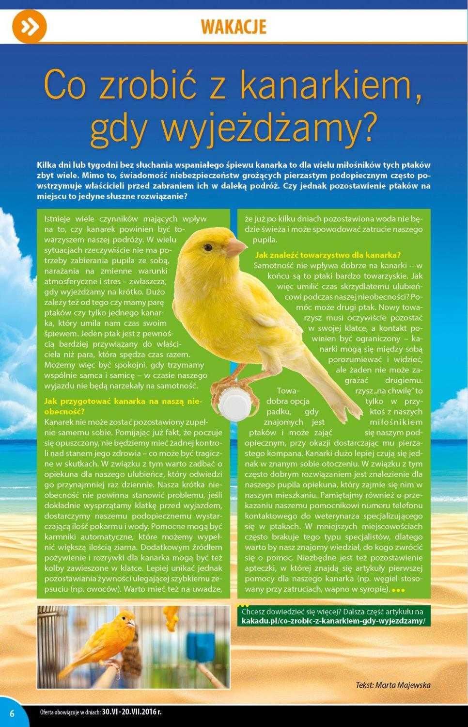 Gazetka promocyjna KAKADU str. 6