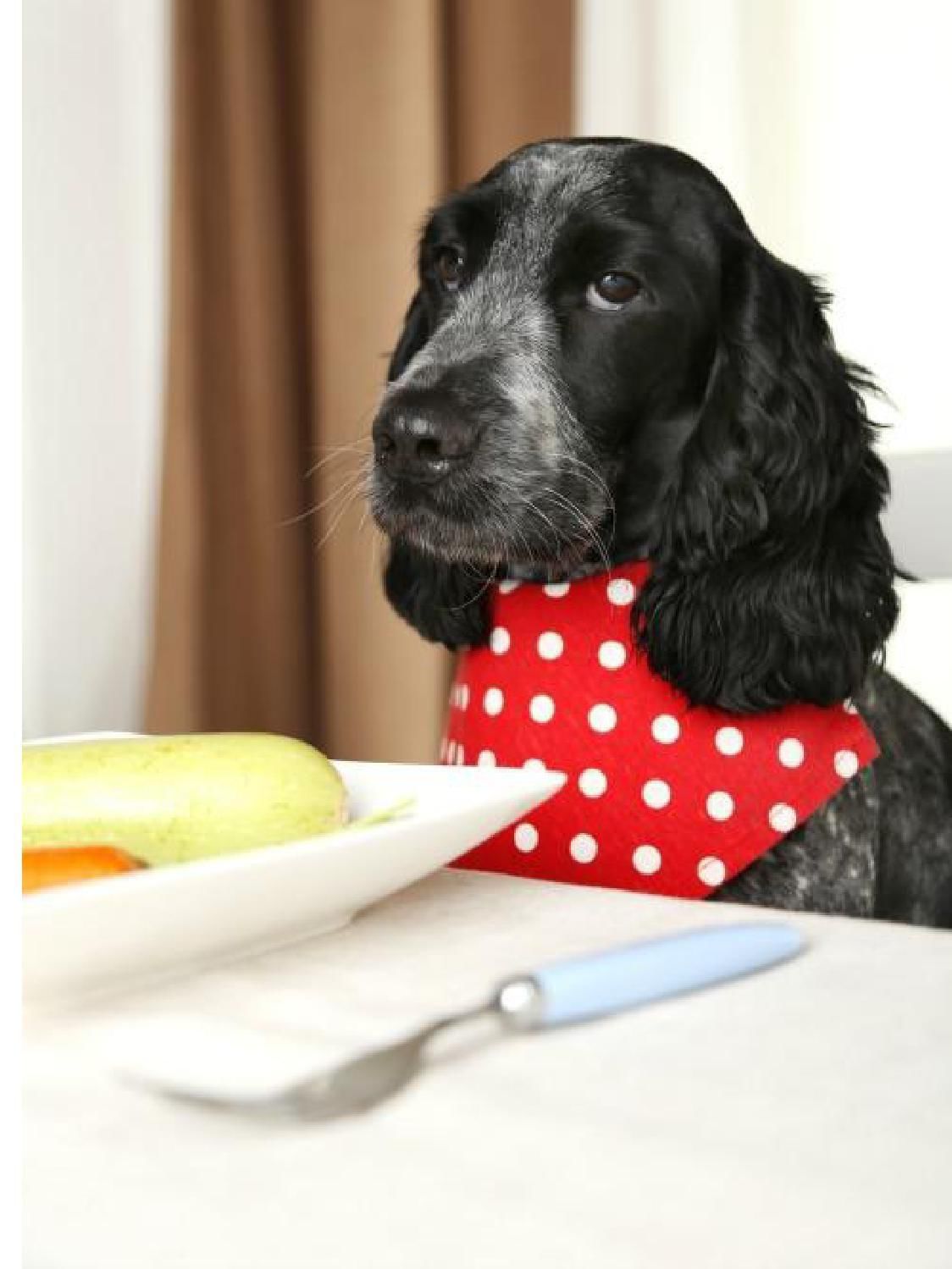 Gazetka promocyjna KAKADU str. 11