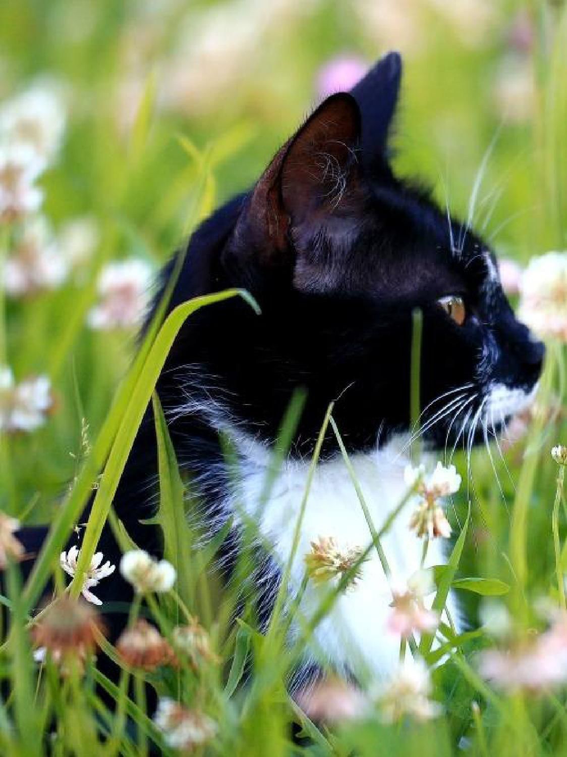 Gazetka promocyjna KAKADU str. 18