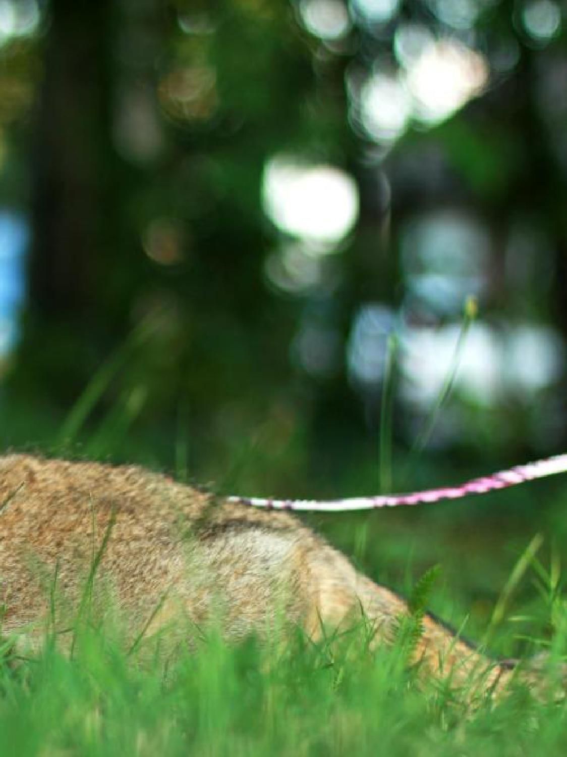 Gazetka promocyjna KAKADU str. 27