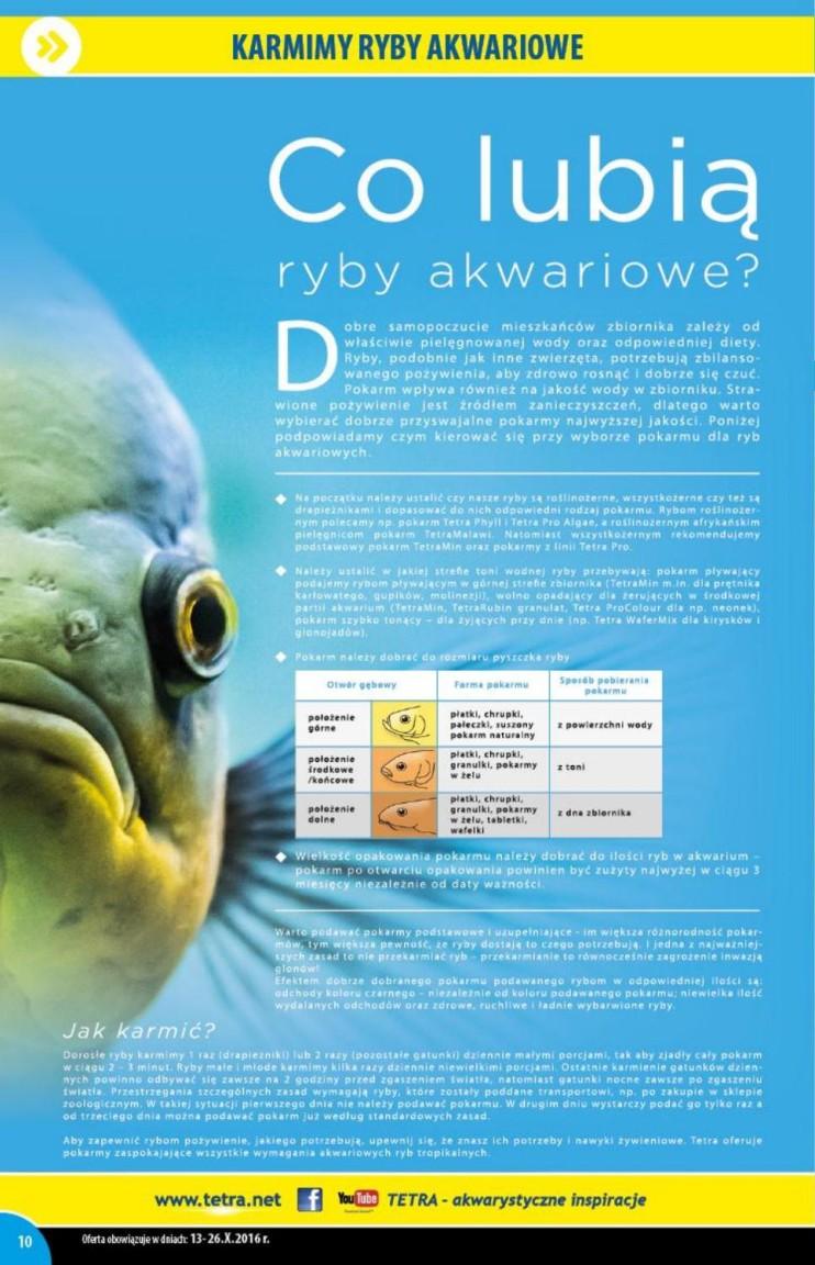 Gazetka promocyjna KAKADU str. 10