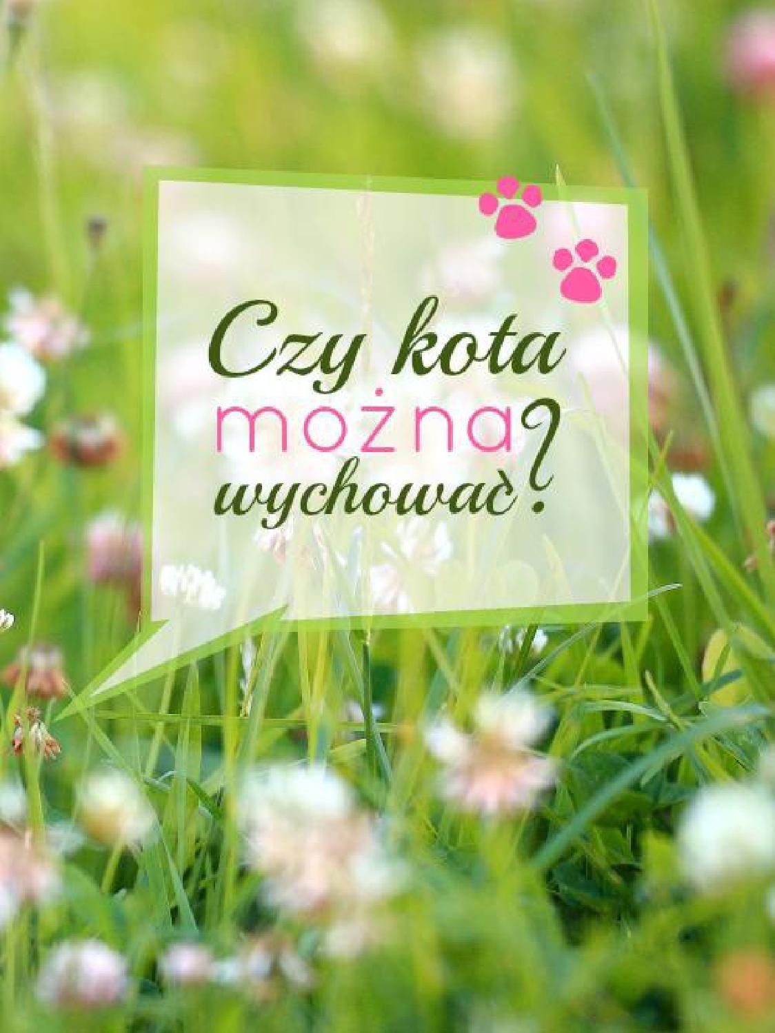 Gazetka promocyjna KAKADU str. 19