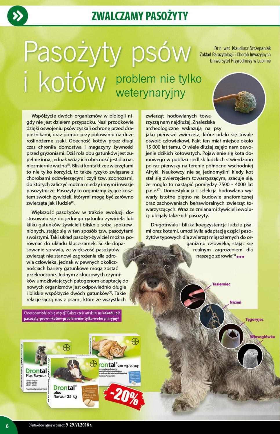 Gazetka promocyjna KAKADU str. 6