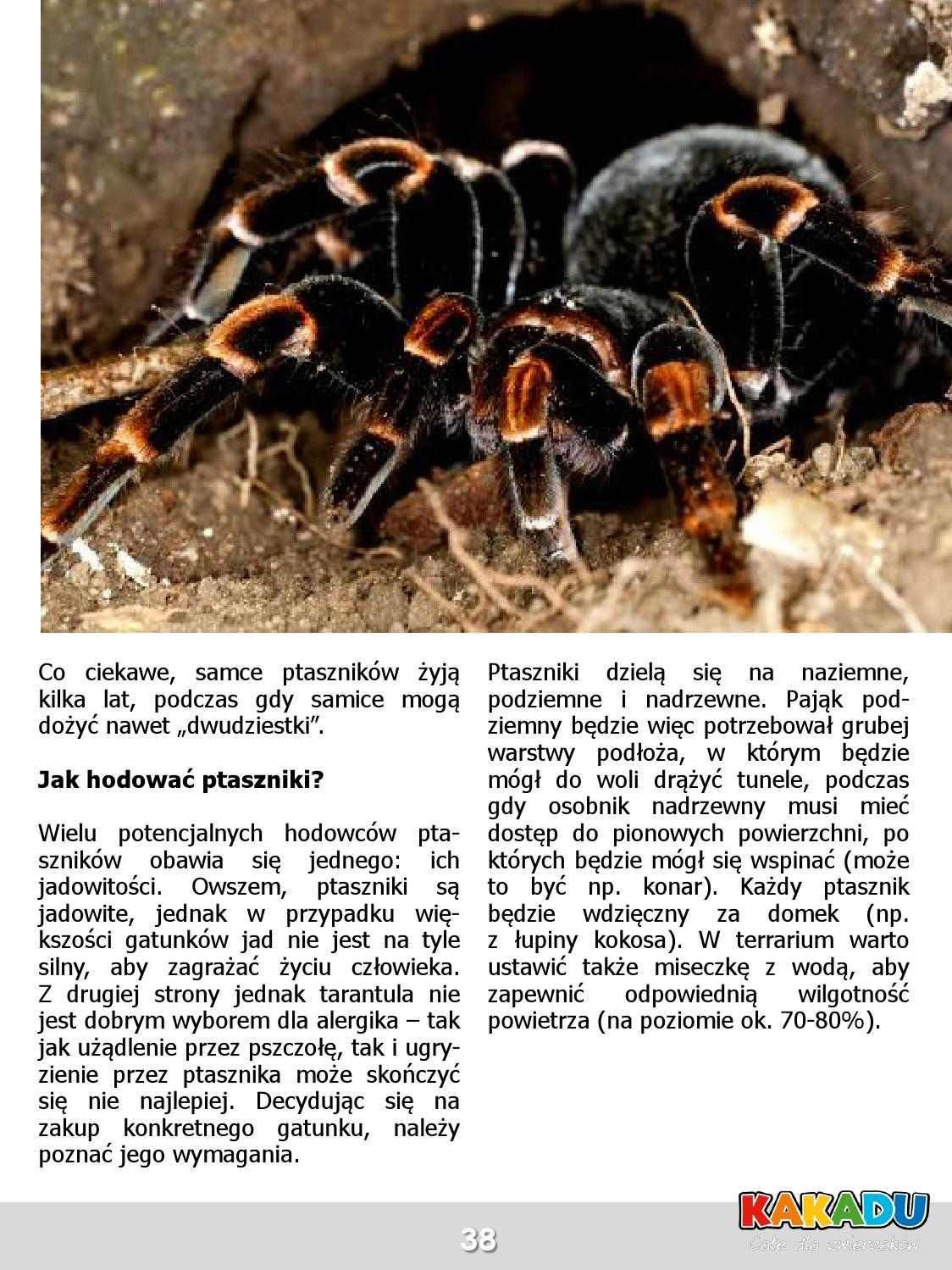 Gazetka promocyjna KAKADU str. 37