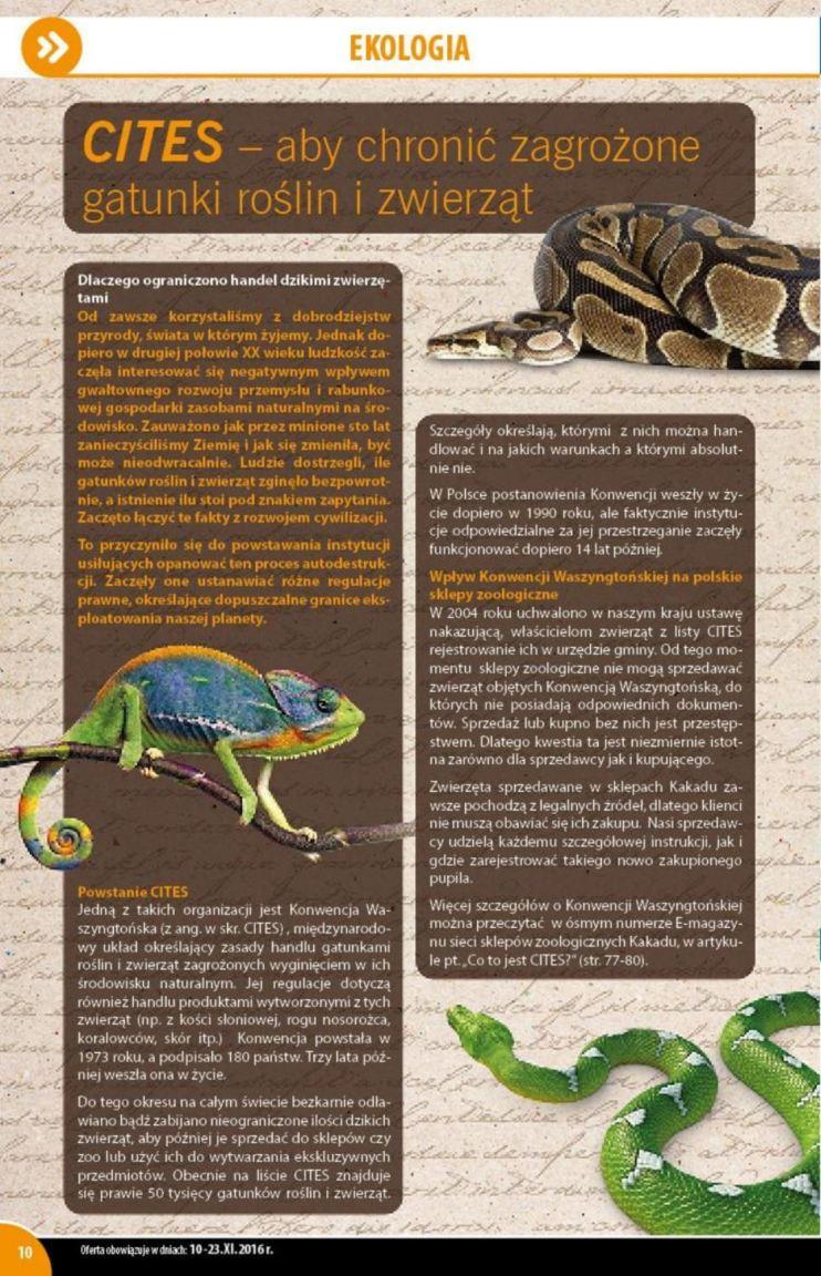 Gazetka promocyjna KAKADU str. 10