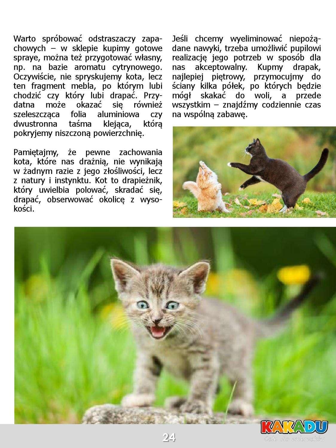 Gazetka promocyjna KAKADU str. 25