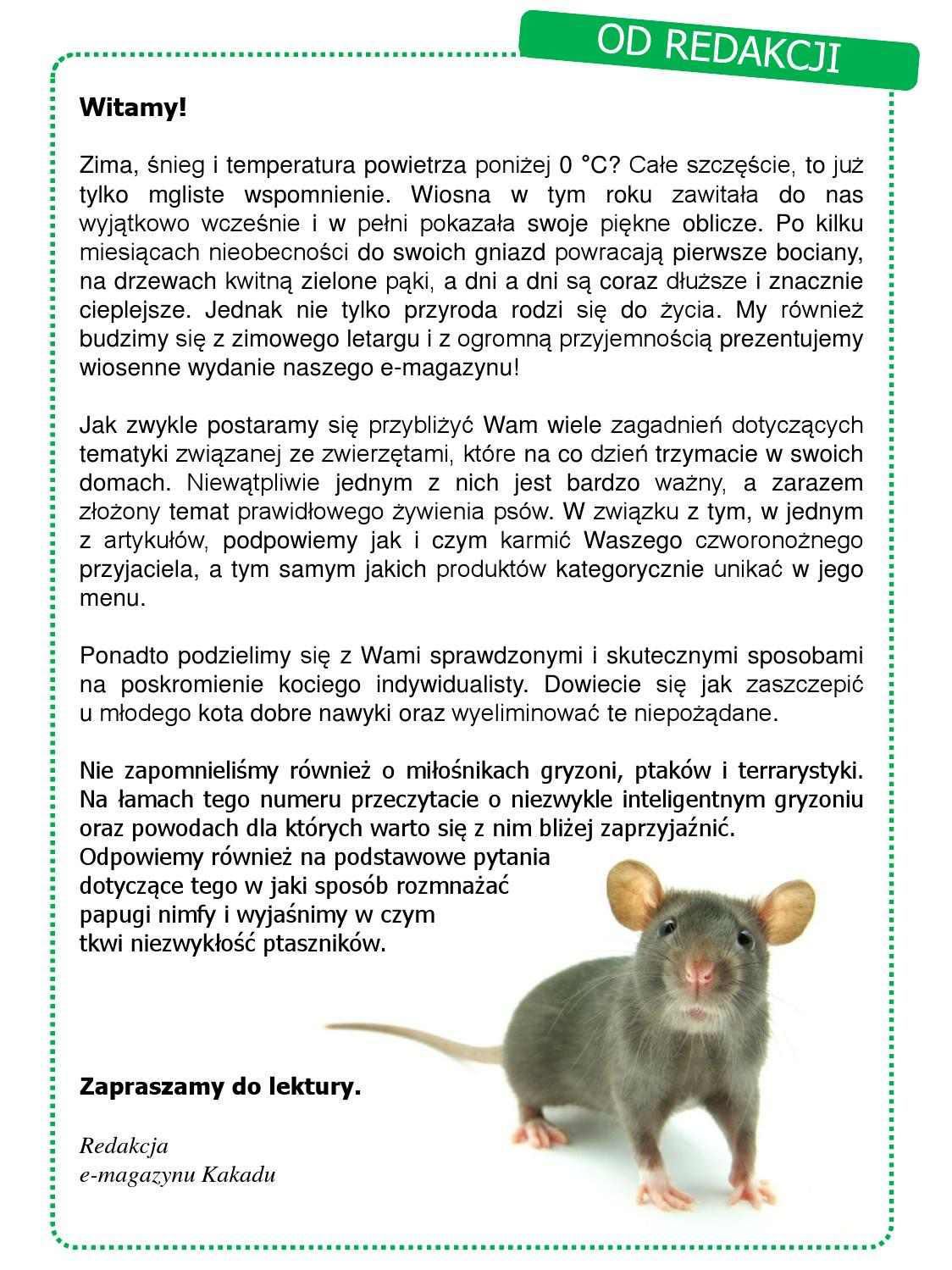 Gazetka promocyjna KAKADU str. 5