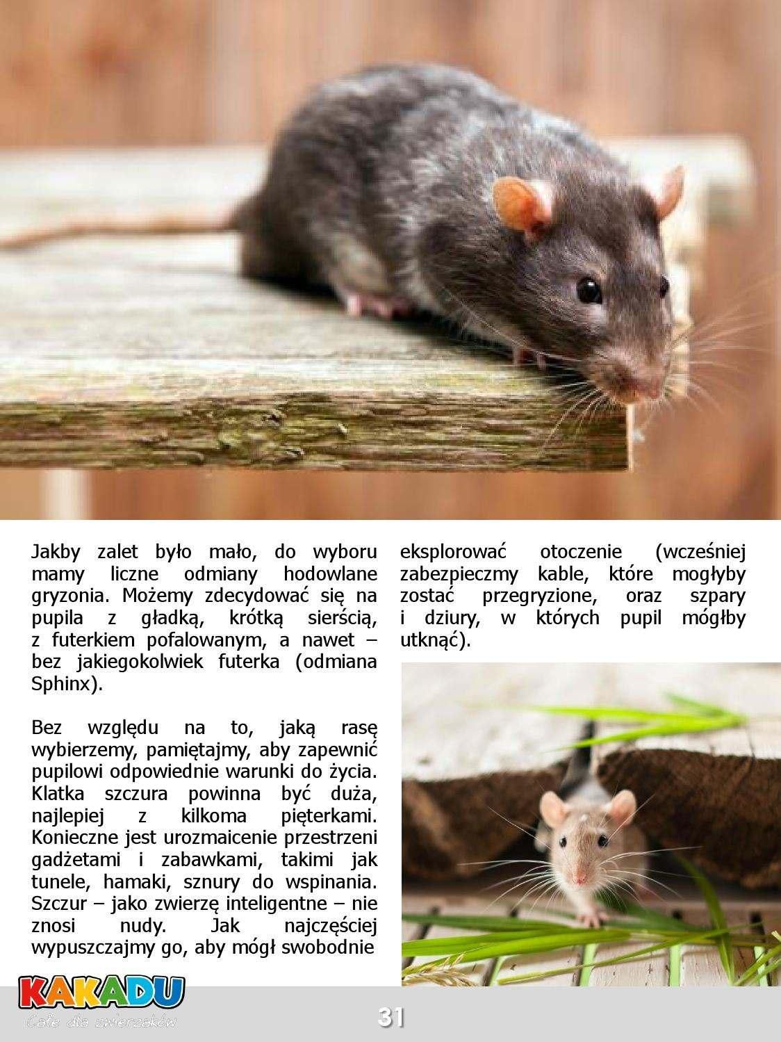 Gazetka promocyjna KAKADU str. 30