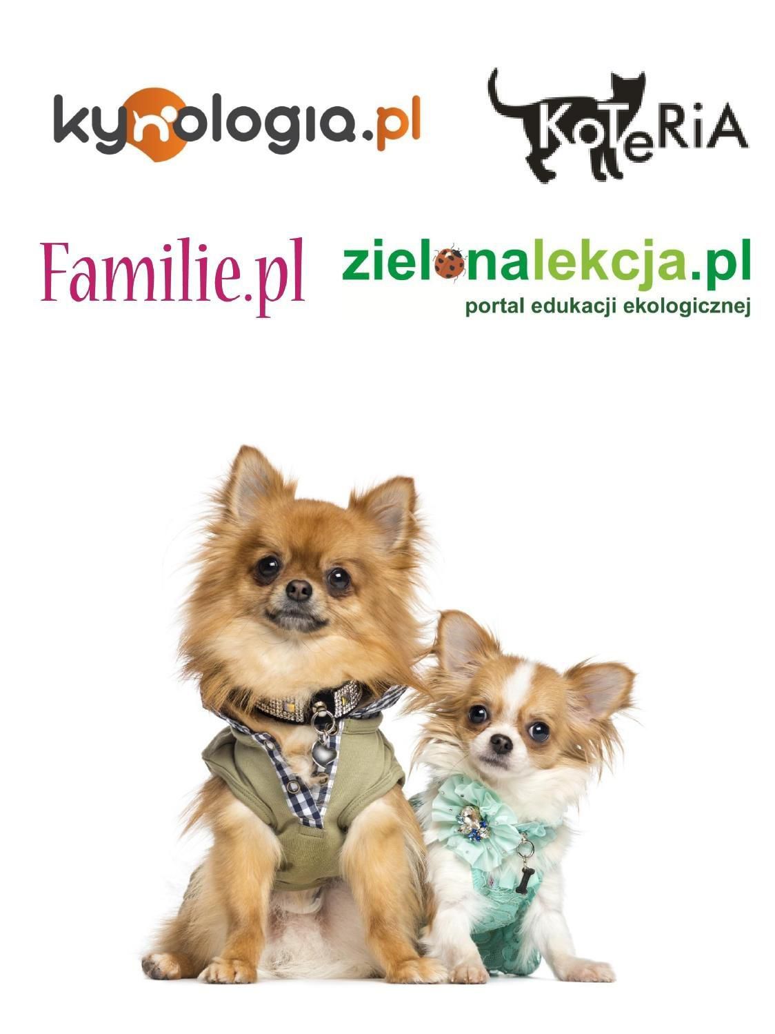 Gazetka promocyjna KAKADU str. 3