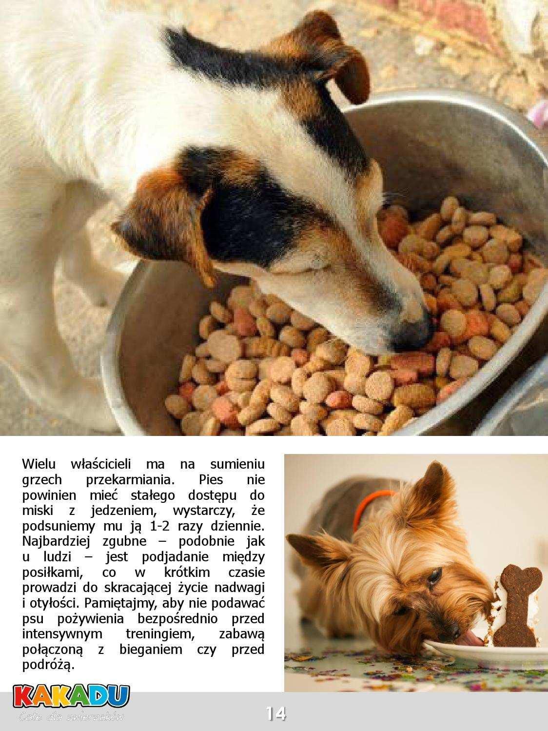 Gazetka promocyjna KAKADU str. 14