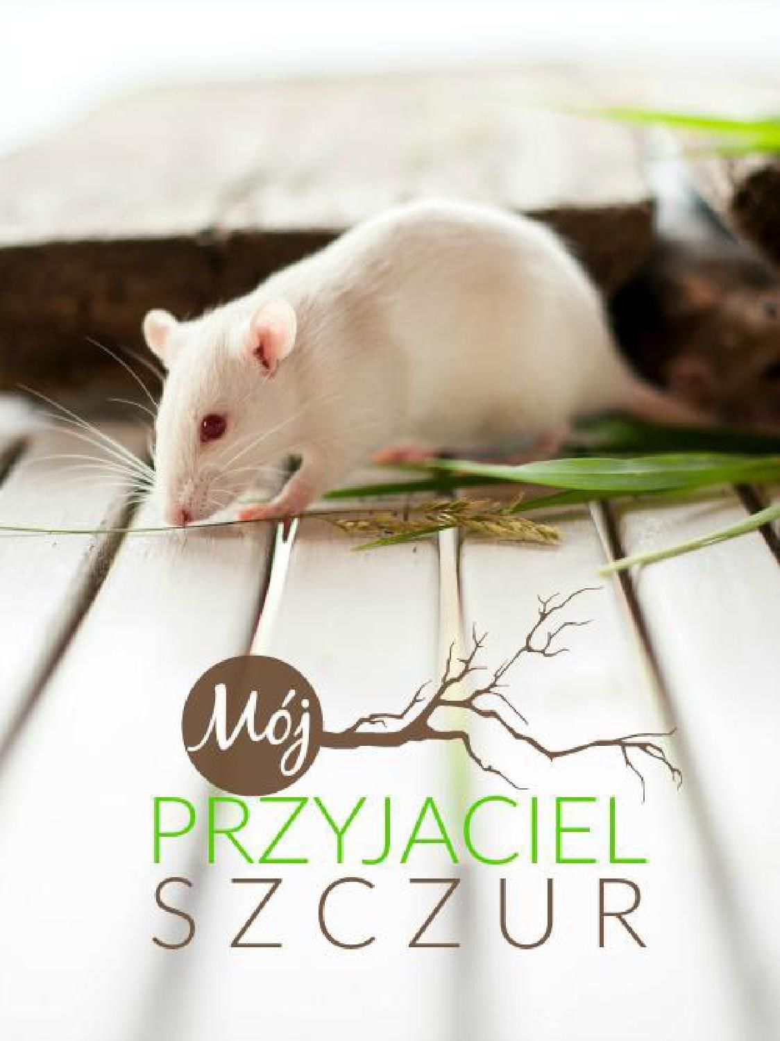 Gazetka promocyjna KAKADU str. 28