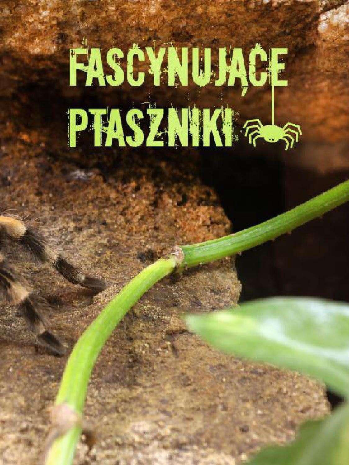 Gazetka promocyjna KAKADU str. 35